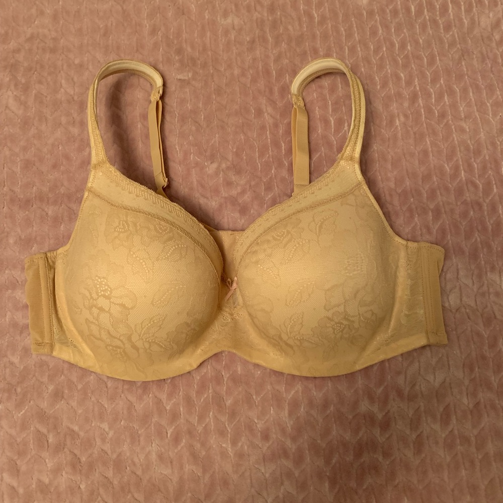 Lane Bryant Cacique bra size 44C